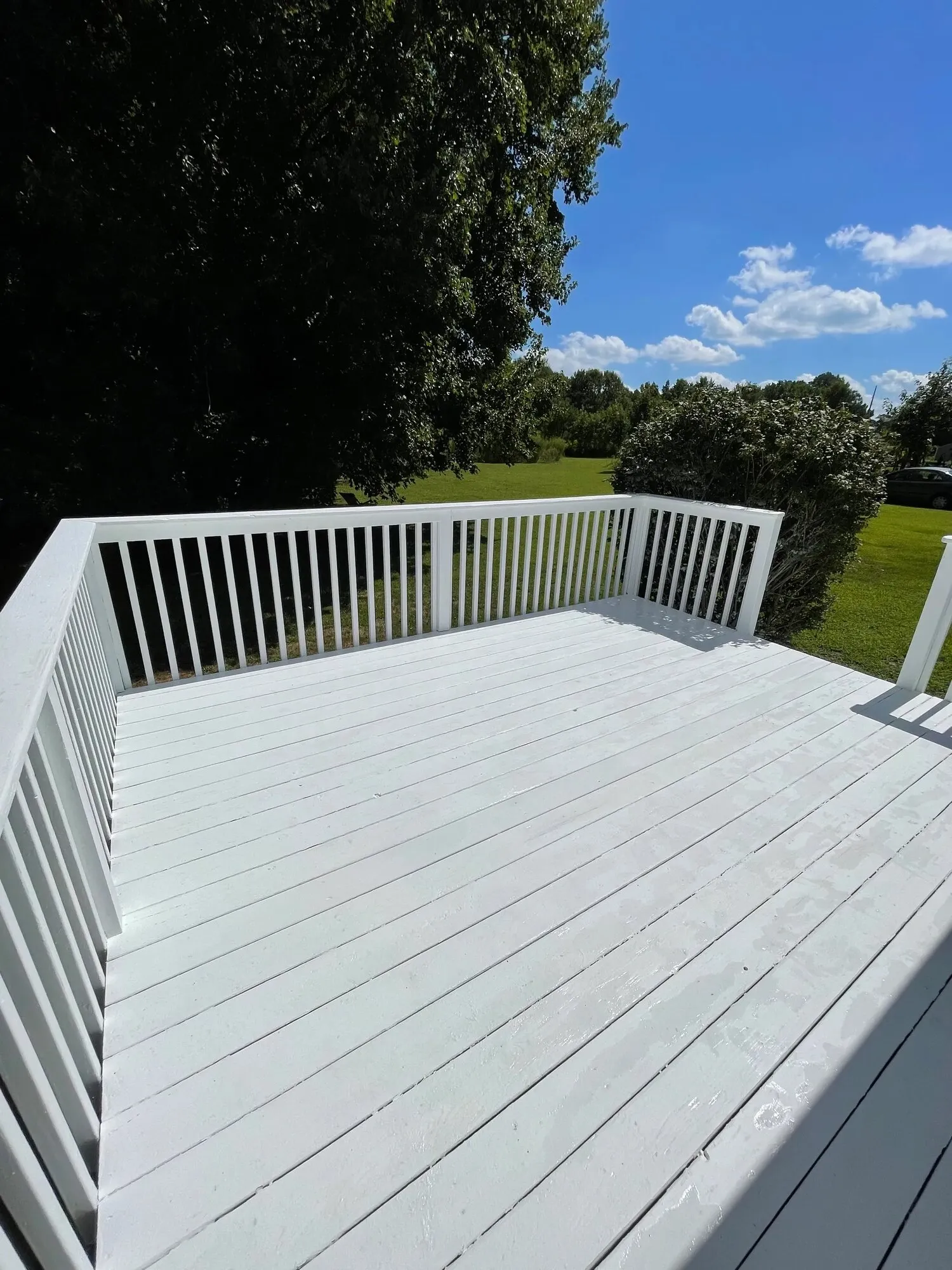 Elevated deck and railings freshly coated in white